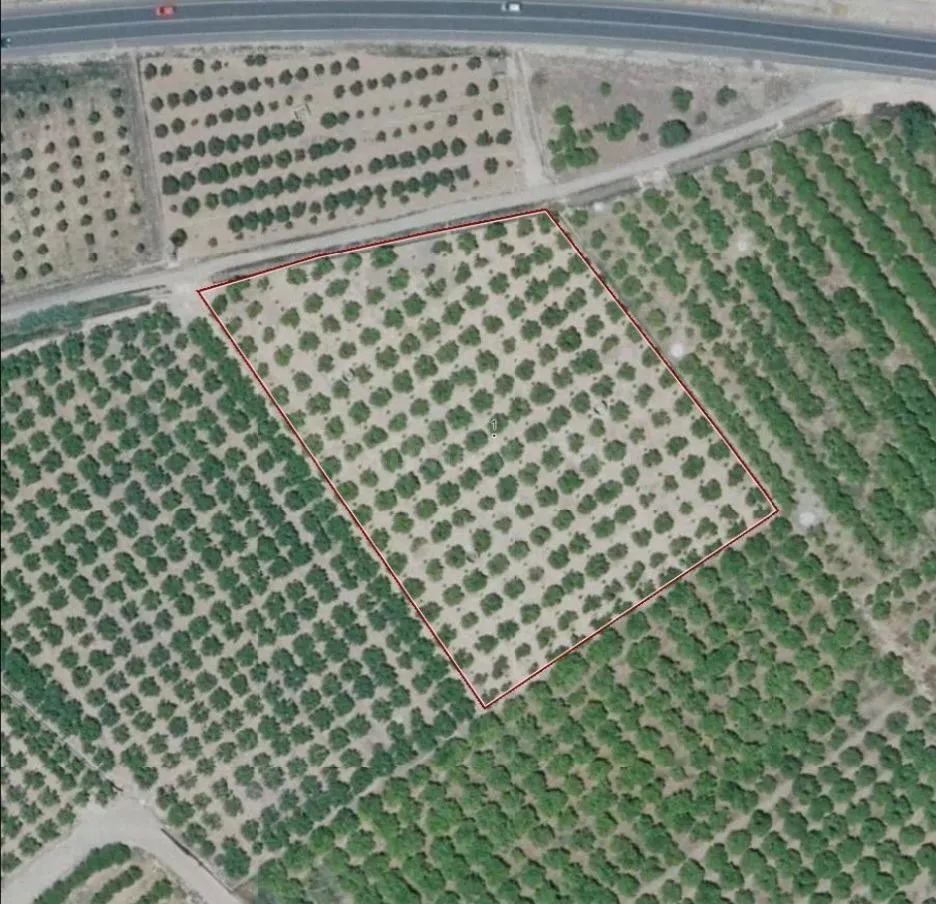 Se vende parcela en terreno rural de 6582 m2 en Alzira.