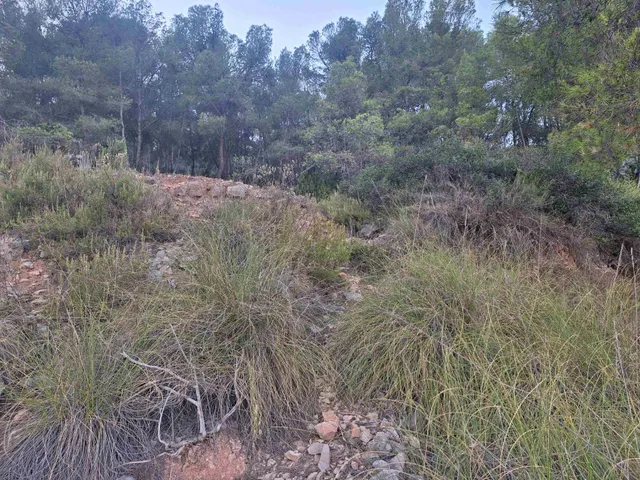 Finca rústica forestal en venta con vistas panoramicas · Castalla (Alicante) — 8