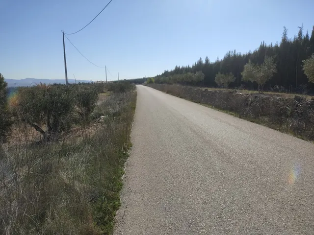 EXCELENTE PARCELA A 500 M2 DEL CASCO URBANO CON CAMINO ASFALTADO — 9
