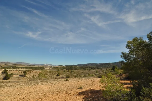 Parcela en venta - Jumilla - foto 4