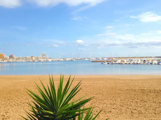 Apartamento 2 habitaciones 95m² en venta - Acequion — 18