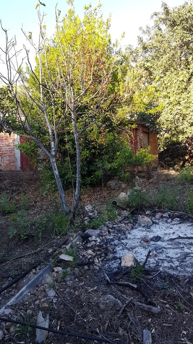 Finca rústica a la venta en Comares — 12