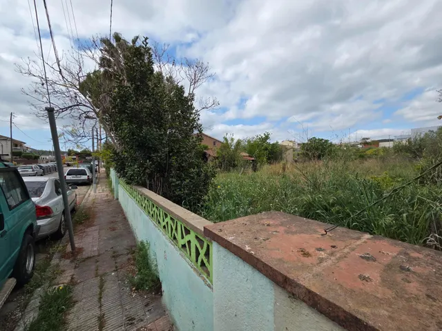 Casas Nuevas TODA en Planta Baja en Les Peces d'Albinyana — 14