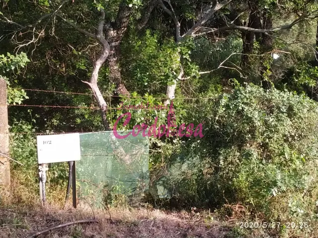 CASA CON TERRENO EN TRASSIERRA — 10