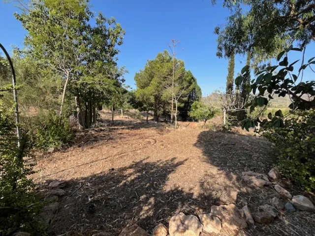 FUENTE ALAMO CASA CON TERRENO - foto 5