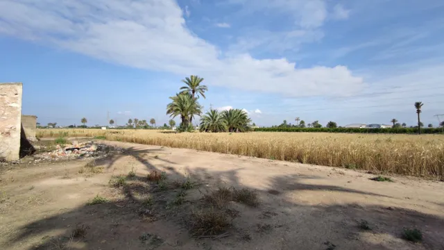 SE VENDE CASA DE CAMPO CON 42.000 M2 DE PARCELA. — 9
