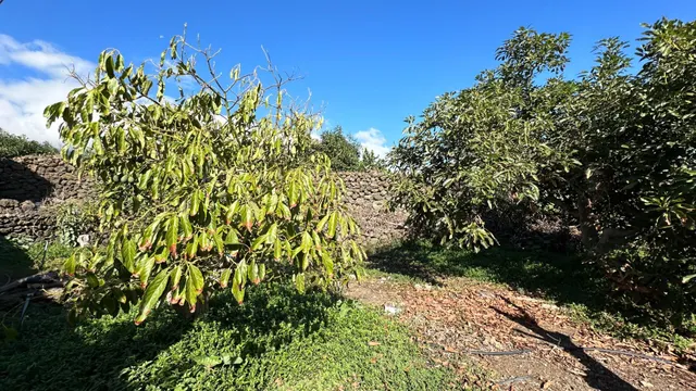 OPORTUNIDAD ÚNICA: GRAN FINCA DE 31.000 M2, secciones URBANA, RÚSTICA, ASENTAMIENTO RURAL Y AGRÍCOLA — 28
