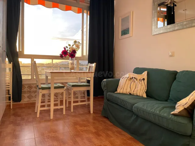 Estudio 29m² en alquiler - La leala - el saltillo - foto 5
