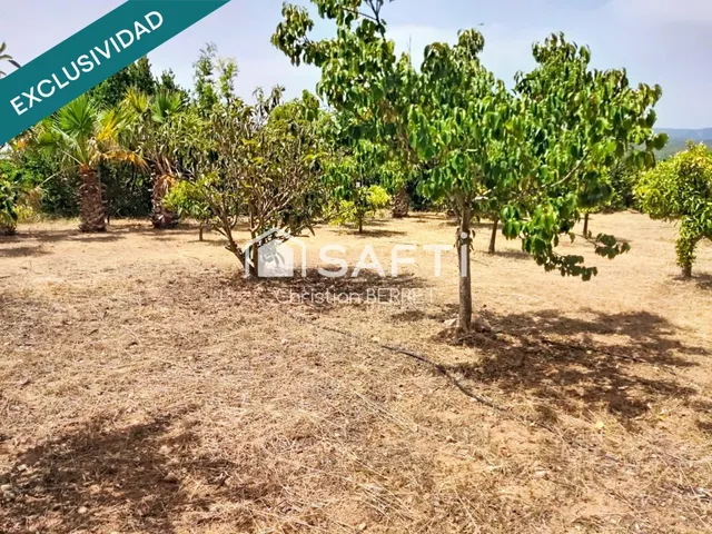 Chalet independiente con piscina y gran parcela. — 32