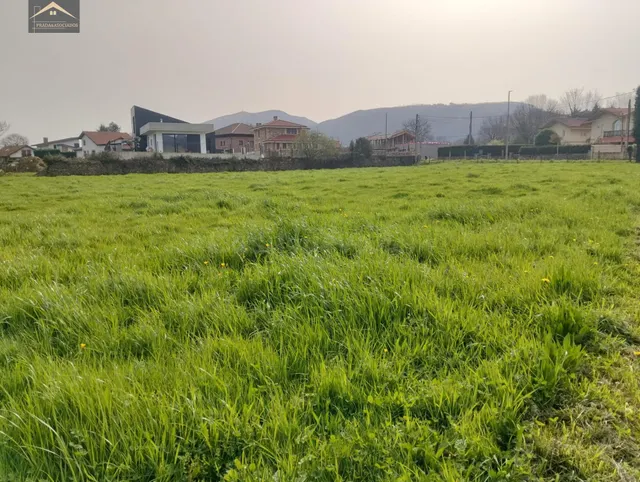 FINCA URBANA 2875M2 EN VERNEJO (CABEZON DE LA SAL) - foto 3