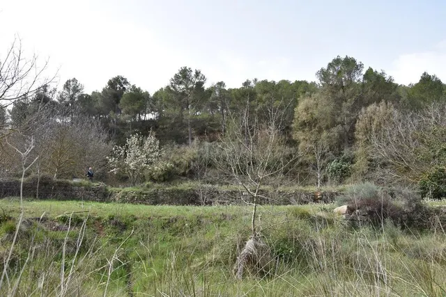 Finca rústica en venta - MatarraÑa - foto 5