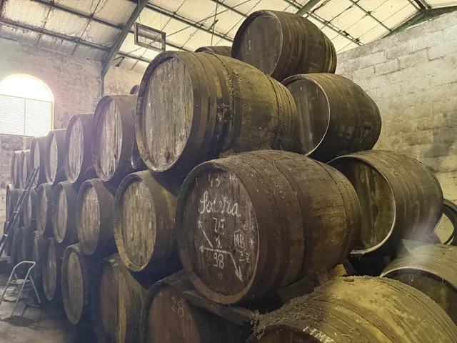 Viñedo de 24,40ha 1300m2 naves y 400m2 restaurante — 24