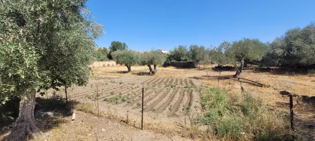 SOLAR URBANO EN VILLANUEVA DEL  DUQUE — 6