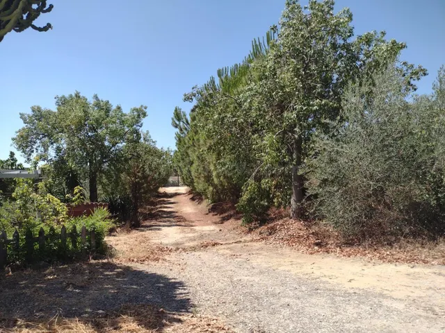 MAGNIFICA PARCELA DE CASI DOS HECTAREAS, CON CHALET Y PISCIN - foto 3