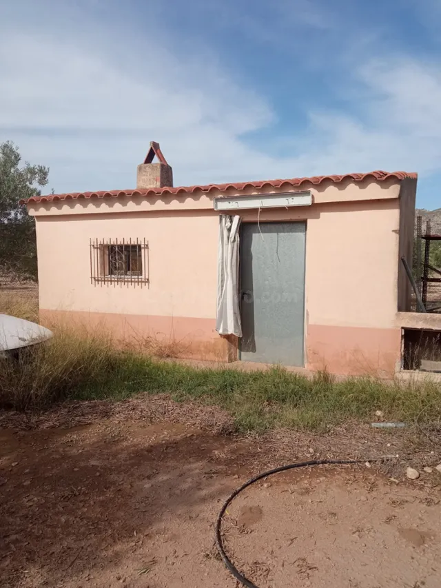 Parcela todo vallada con arboles de olivos en producción y c - foto 2