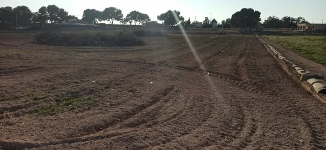 PARCELA EN VALVERDE — 6