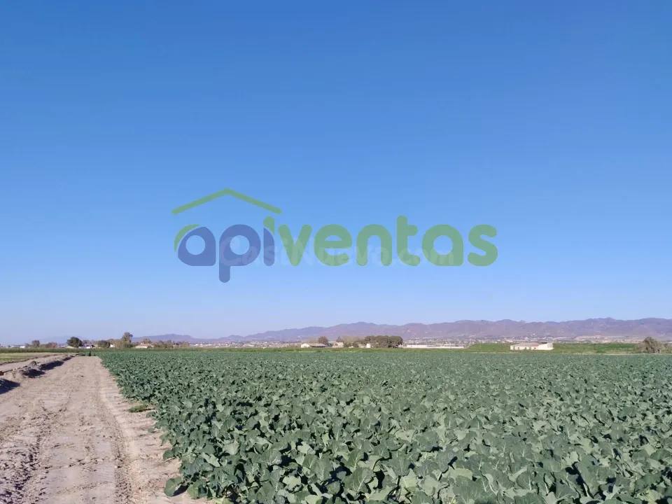 Terreno de riego consolidado