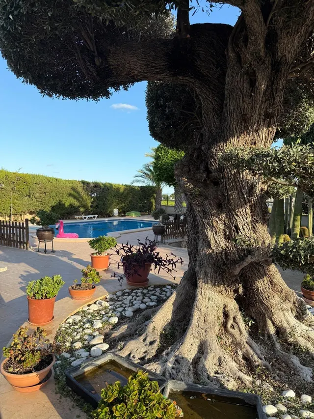 MARAVILLOSO CHALET EN MAITINO — 32
