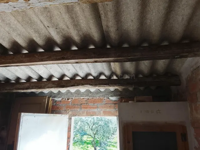 Finca con Caseta y Olivos en Molineres - foto 4