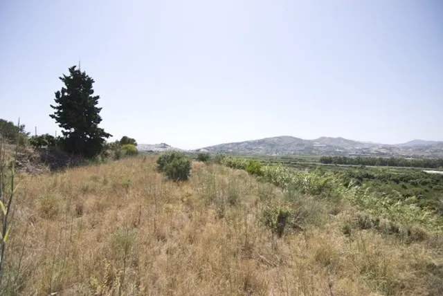 FINCA RUSTICA EN EL PUNTAL DE JARIZ - foto 3