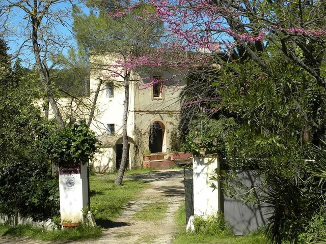PROYECTO DE FINCA RÚSTICA - foto 3