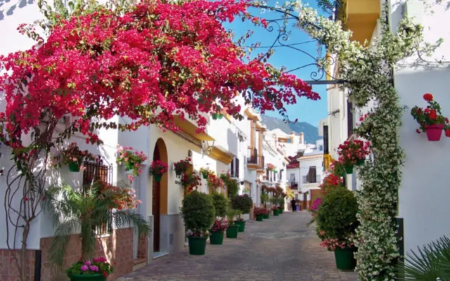 Hotel 54 habitaciones 2315m² en venta - Costa Del Sol — 16