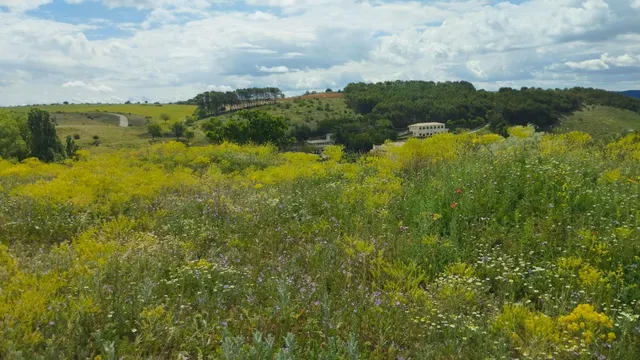 Terreno urbano en venta - Fuentelencina — 16