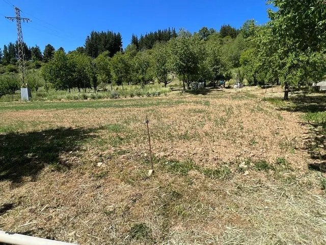OPORTUNIDAD DE ADQUIRIR UN TERRENO EN UNA DE LAS ZONAS RURAL - foto 5
