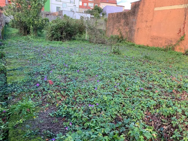TERRENO URBANIZABLE EN CABO DE CRUZ — 10