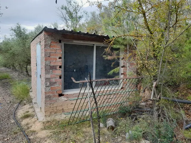 OPORTUNIDAD FINCA RUSTICA DE REGADIO CON CASA DE CAMPO EQUIPADA EN ASCO — 12