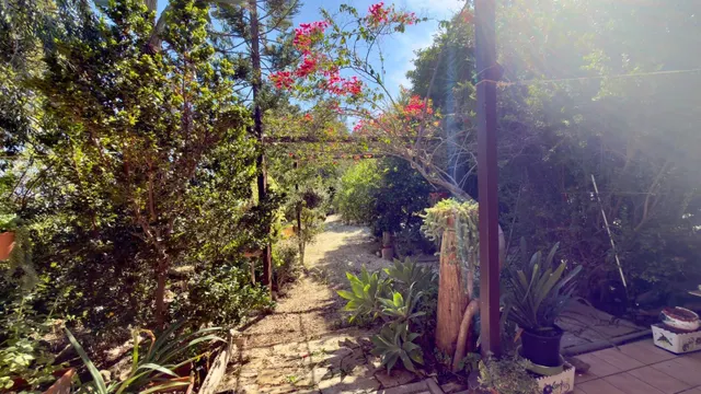 Finca rural con casa, casa auxiliar y 350 oliveras | los valientes — 27