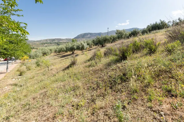 Terreno urbano en Alfacar, perfecto para inversionistas — 8
