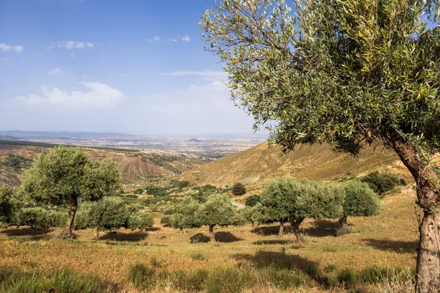 En Venta Maravilloso Paraje Natural, a medio camino entre Granada y Sierra Nevada, a veinte minutos en coche, desde cada una de ellas. — 22