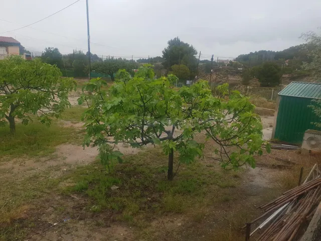 EXCELENTE CHALET A 2 MINUTOS DE PETRER — 5