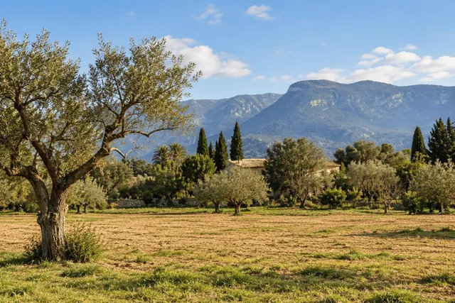 Finca rústica ideal para caballos, en Palma — 11