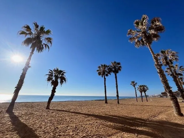 Villa 3 habitaciones 135m² en venta - Comunidad valenciana — 25