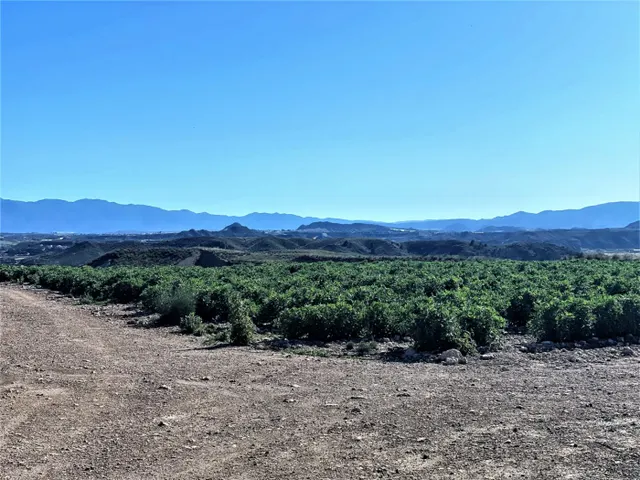 Parcela cultivada en producción — 13