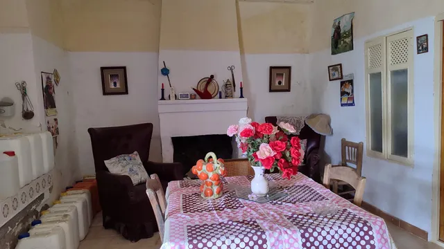 Venta de casa de campo y olivar — 2