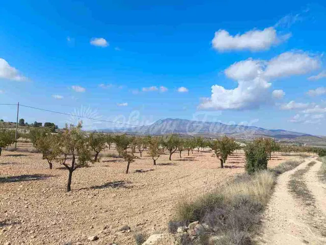 Suelo rústico en Venta en Jumilla Murcia — 12