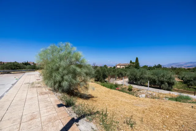 Preciosa parcela con vistas a la sierra — 9