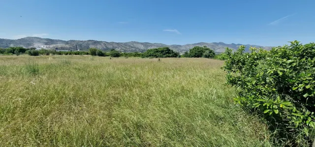 Huerto a un paso de Castellón - foto 2