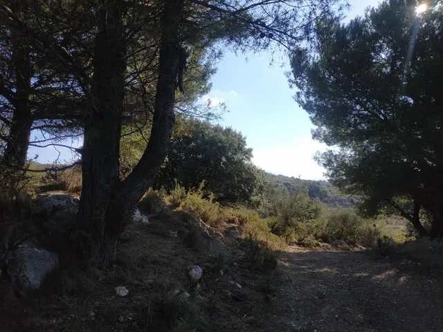 Terrenos urbano en Periana — 6