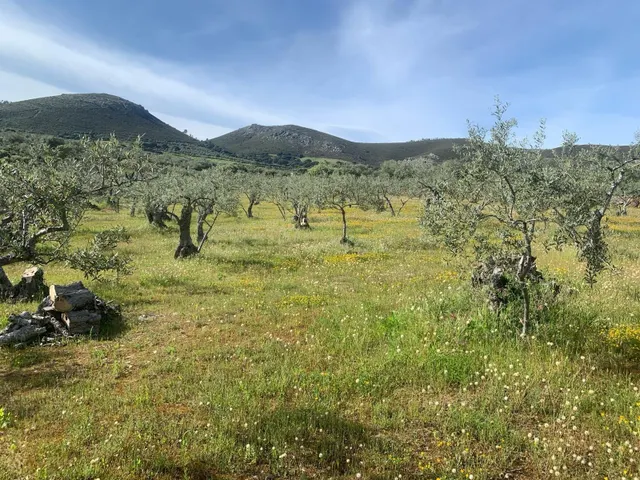 Paraje Carboneras, Casas de Millán