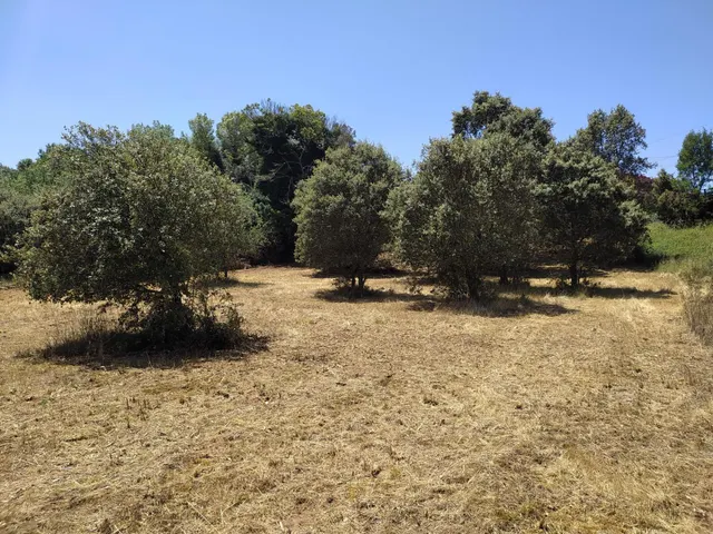 VENTA DE FINCA URBANA EN CUBILLOS DEL SIL — 6