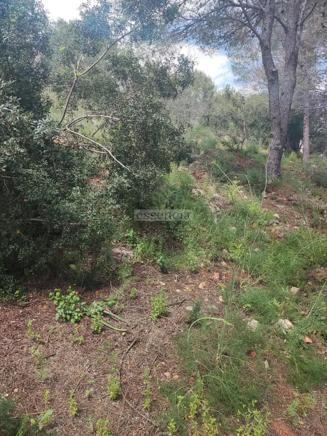 Terreno Urbano Urb. La Serreta — 9