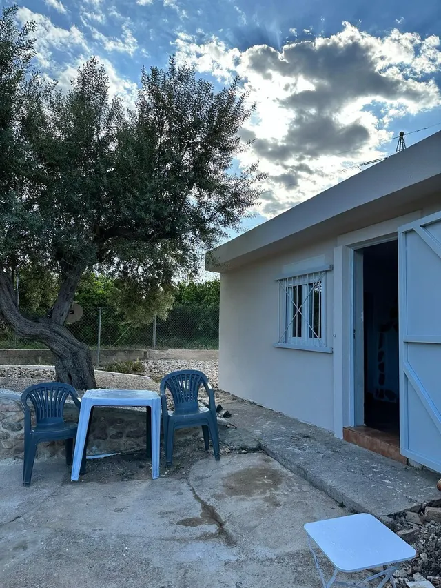 Finca rústica con construcción, agua y 1.875 m2 a pocos minutos de Sagunto — 12