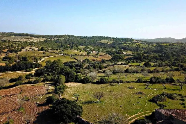 Casa de campo-Masía en Venta en Sant Llorenç Des Cardassar B - foto 3