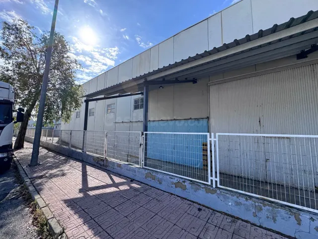 Local comercial 6400m² en venta - Ceutí - foto 4