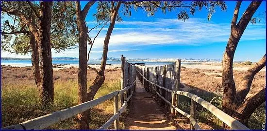 Espectacular Piso Reformado con Vistas al Mar en La Mata - ¡Tu Refugio Mediterráneo! — 39