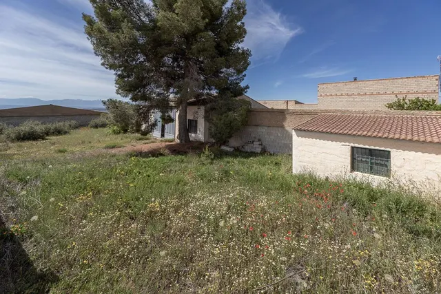 ESTUPENDO SOLAR URBANO CON NAVE EN PEDRO MARTÍNEZ — 18